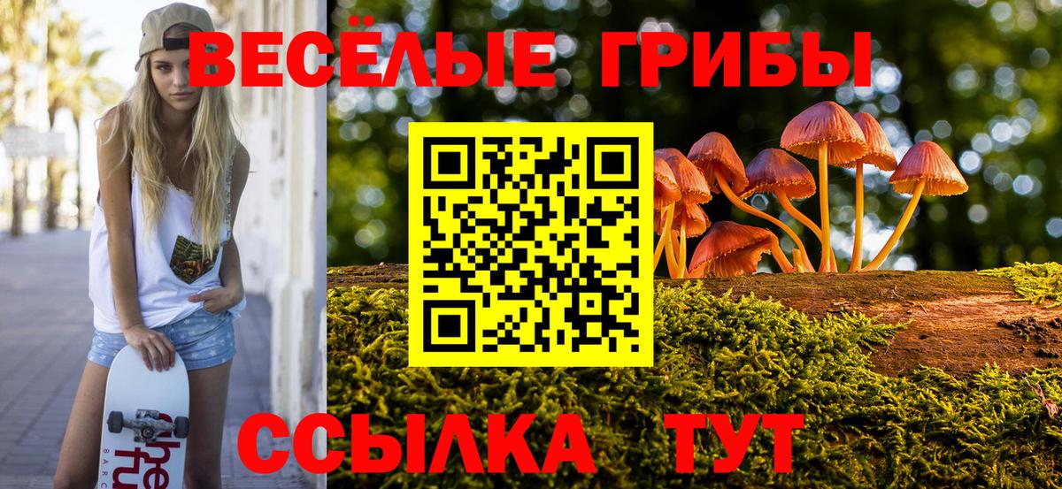 Дубна  Галлюциногенные грибы Magic Shrooms  наркота  Вход с VPN 