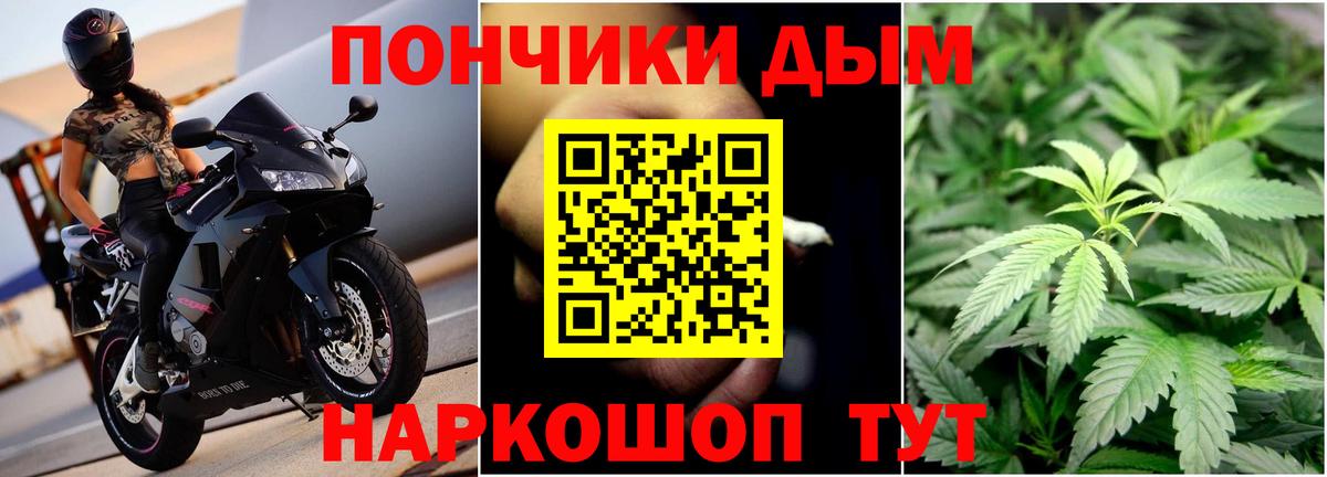 Бошки марихуана гибрид Дубна